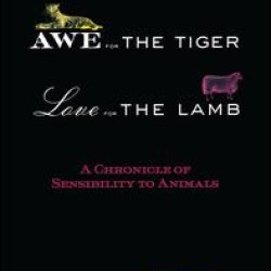 Awe for the Tiger, Love for the Lamb
