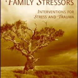 Family Stressors Family Stressors