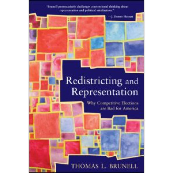 Redistricting and Representation