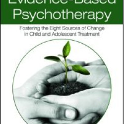 Beyond Evidence-Based Psychotherapy