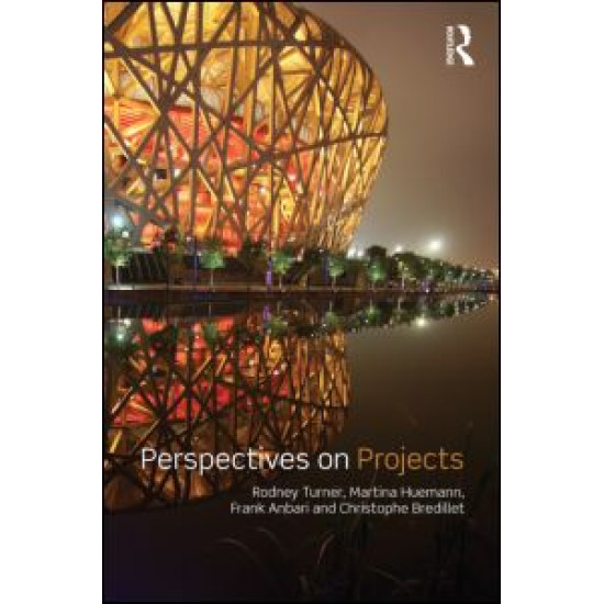 Perspectives on Projects