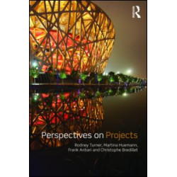 Perspectives on Projects