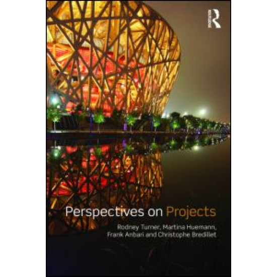 Perspectives on Projects