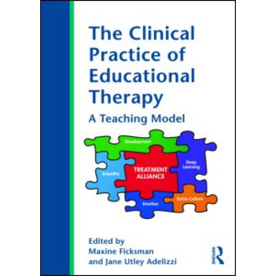 The Clinical Practice of Educational Therapy
