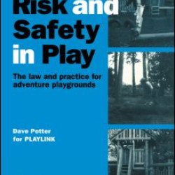 Risk and Safety in Play