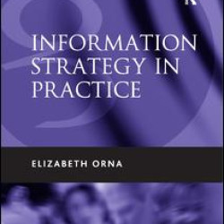 Information Strategy in Practice