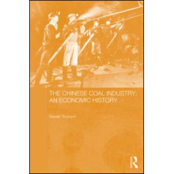The Chinese Coal Industry