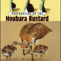 Propagation Of The Houbara Bustard