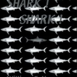 Shark! Shark!