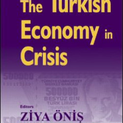 The Turkish Economy in Crisis