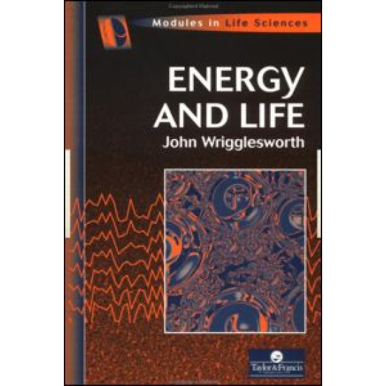 Energy And Life Energy And Life