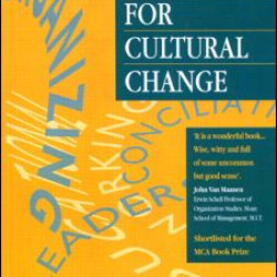 Strategies for Cultural Change