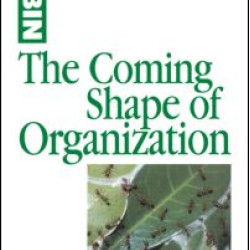 The Coming Shape of Organization