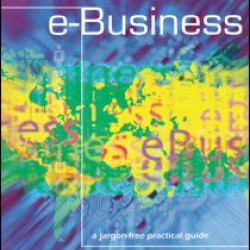 e-Business - A Jargon-Free Practical Guide e-Business - A Jargon-Free Practical Guide