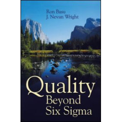 Quality Beyond Six Sigma