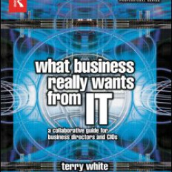 What Business Really Wants from IT