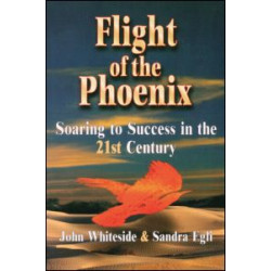 Flight of the Phoenix Flight of the Phoenix