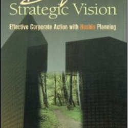 Beyond Strategic Vision Beyond Strategic Vision