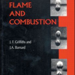 Flame and Combustion