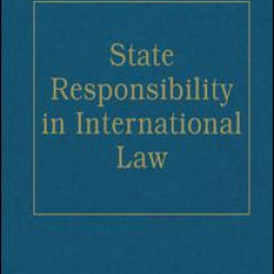 State Responsibility in International Law State Responsibility in International Law