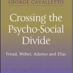 Crossing the Psycho-Social Divide Crossing the Psycho-Social Divide