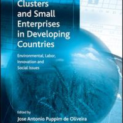 Upgrading Clusters and Small Enterprises in Developing Countries Upgrading Clusters and Small Enterprises in Developing Countries