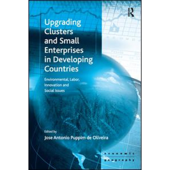 Upgrading Clusters and Small Enterprises in Developing Countries Upgrading Clusters and Small Enterprises in Developing Countries