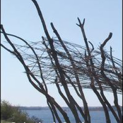 Evaluating in Practice