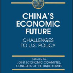 China's Economic Future