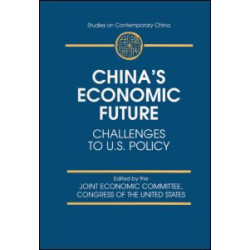 China's Economic Future