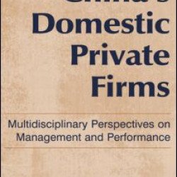 China's Domestic Private Firms: Multidisciplinary Perspectives on Management and Performance China's Domestic Private Firms: Multidisciplinary Perspectives on Management and Performance