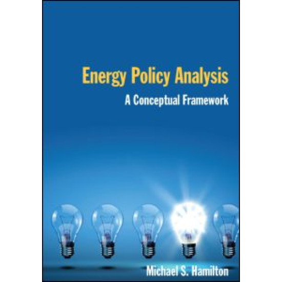 Energy Policy Analysis: A Conceptual Framework