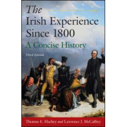 The Irish Experience Since 1800: A Concise History