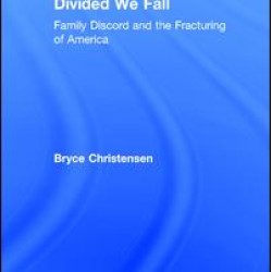 Divided We Fall Divided We Fall