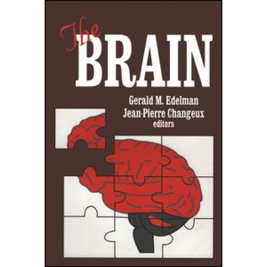 The Brain