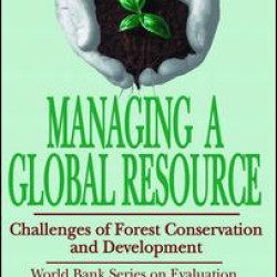 Managing a Global Resource