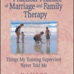The Practical Practice of Marriage and Family Therapy