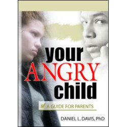 Your Angry Child Your Angry Child