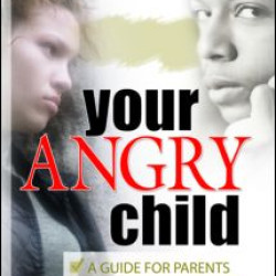 Your Angry Child Your Angry Child