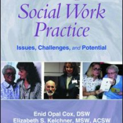 Gerontological Social Work Practice Gerontological Social Work Practice