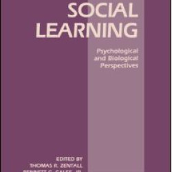 Social Learning Social Learning