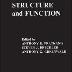 Attitude Structure and Function Attitude Structure and Function