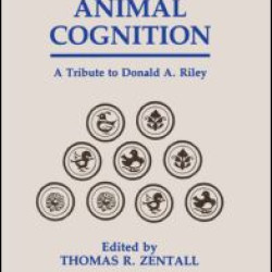 Animal Cognition Animal Cognition