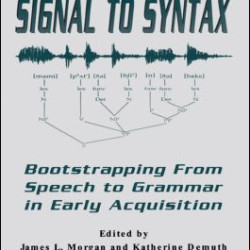 Signal to Syntax