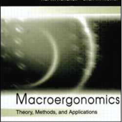 Macroergonomics Macroergonomics