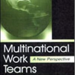 Multinational Work Teams