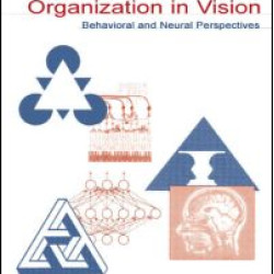 Perceptual Organization in Vision Perceptual Organization in Vision