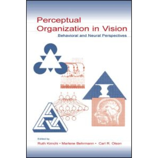 Perceptual Organization in Vision