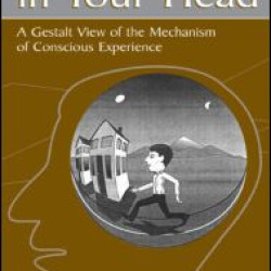 The World in Your Head The World in Your Head