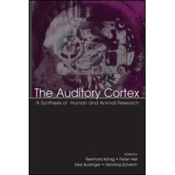 The Auditory Cortex The Auditory Cortex